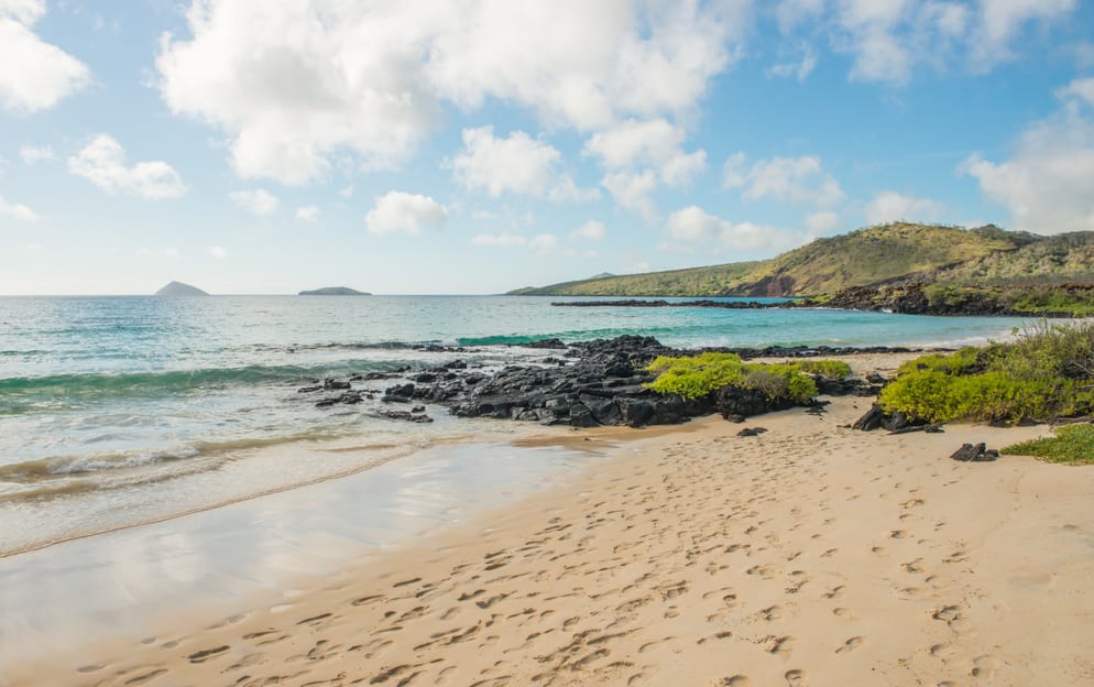 Punta Cormorant, Floreana Island, Galápagos - Punta-Cormorant-Floreana-Island-Gal-pagos-Ecuador_490.jpg